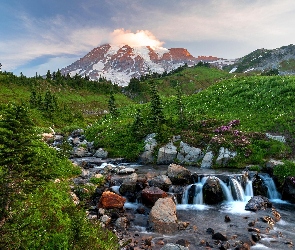 Waszyngton, Drzewa, Stany Zjednoczone, Góry, Rzeka, Park Narodowy Mount Rainier, Kamienie, Trawa