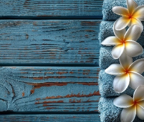 Plumeria, Deski, Drewno, Ręczniki, Kwiat