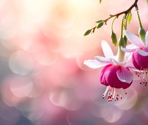 Kwiaty, Grafika AI, Fuksja