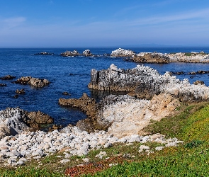 Wybrzeże, Rośliny, Morze, Skały