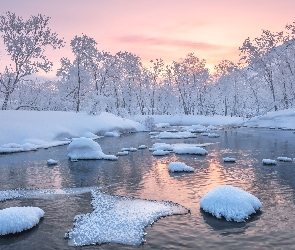 Niebo, Różowe, Rzeka, Zima, Ośnieżone, Drzewa