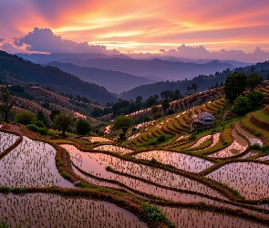 Tarasy ryżowe, Grafika AI, Zachód słońca, Góry, Pola