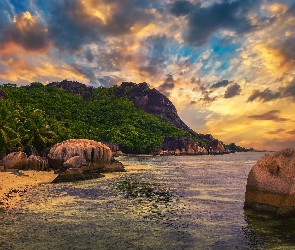 Góry, Palmy, Zachód słońca, Skały, La Digue, Wyspa, Morze, Plaża, Seszele, Anse Source dArgent Beach