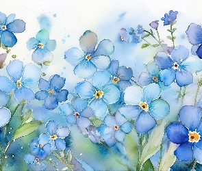 Kwiaty, Grafika, Niezapominajki