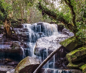 Kamienie, Rzeka, Las, Drzewa, Wodospad