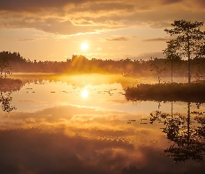 Jezioro, Wschód słońca, Drzewa, Mgła, Jesień