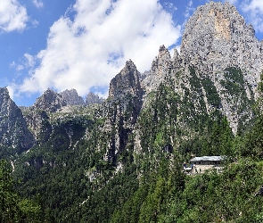 Schronisko 
Rifugio Treviso, Dom, Dolomity, Włochy, Drzewa, Góry, Masyw Pale di San Martino