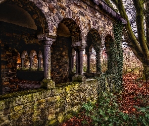 Opuszczony, Drzewo, Mury, Klasztor, Stary