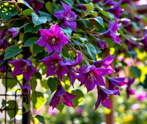 Kwiaty, Grafika AI, Fioletowe