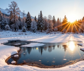 Jezioro, Promienie słońca, Śnieg, Zima, Ośnieżone, Drzewa