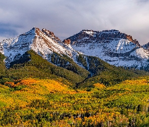 Jesień, Drzewa, Góry, Ośnieżone, Lasy, Kolorowe
