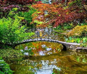 Włochy, Kwiaty, Mostek, Paprocie, Drzewa, Staw, Bellagio, Ogród, Gardens of Villa Melzi dEril