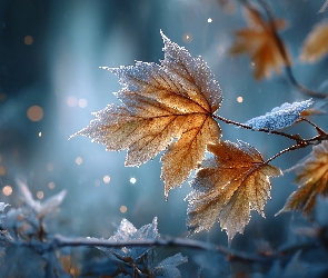 Grafika AI, Liście, Oszronione, Jesienne