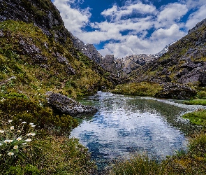 Jezioro, Chmury, Kwiaty, Trawa, Góry