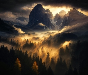 Szczyty, Zachód słońca, Mgła, Drzewa, Góry
