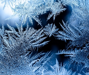 Mróz, Szron, Okno, Szyba