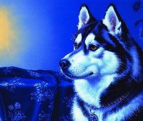 Siberian husky, Grafika, Materiał, Świeca, Pies