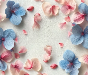 Płatki, Kwiaty, Niebieskie, Różowe