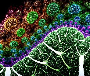 Grafika, Drzewa, Fraktal, Kolorowe