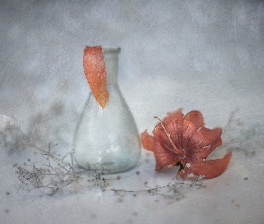 Szkło, Kompozycja, Rośliny, Suche, Miechunka rozdęta