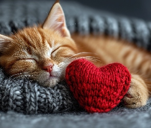 Kot, Koc, Serce, Czerwone, Rudy