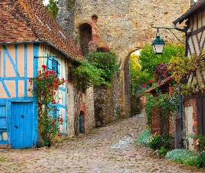 Drzewa, Domy, Kanton Grand Villiers, Kwiaty, Ulica, Francja, Gerberoy