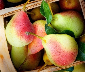 Liście, Zielone, Koszyk, Gruszki