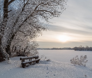 Ławka, Brzeg, Śnieg, Poranek, Rzeka, Zima, Drzewo