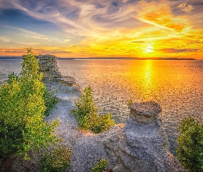 Drzewa, Skały, Morze, Zachód słońca