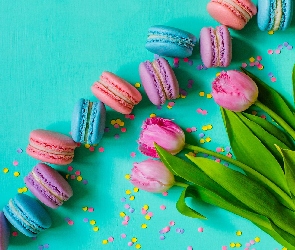 Kolorowe, Makaroniki, Różowe, Tło, Ciasteczka, Kwiaty, Tulipany