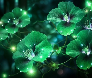 Grafika, Świecące, Kwiaty, Zielone