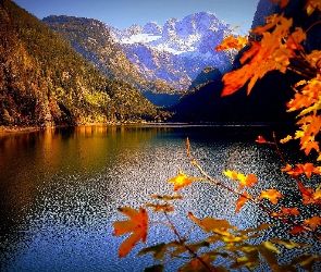 Jezioro, Drzewa, Góry Dachstein, Lasy, Gosau, Gosauseen, Austria, Powiat Gmunden