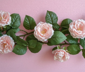 Kwiaty, Tło, Listki, Gałązki, Różowe