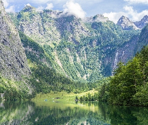 Niemcy, Drzewa Bawaria, Jezioro Konigssee, Park Narodowy Berchtesgaden, Góry, Alpy