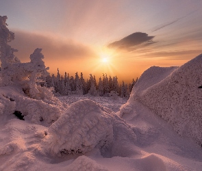 Zima, Zaspy, Niebo, Zachód słońca, Chmury, Drzewa, Mróz, Śnieg, Las
