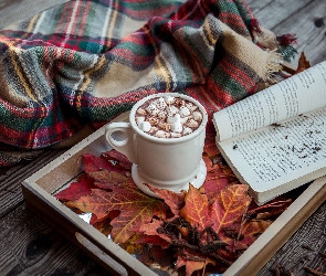 Kompozycja, Kraciasty, Książka, Koc, Liście, Pianki, Taca, Kubek, Kakao