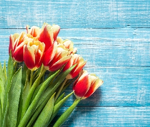 Kartka okolicznościowa, Deski niebieskie, Bukiet, Kwiaty, Tulipany, Czerwono żółte