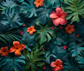 Pomarańczowe, Monstera, Liście, Kwiaty, Czerwone