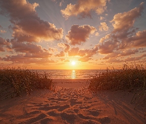 Plaża, Trawa, Zachód Słońca, Niebo, Chmury, Plaża, Niebo