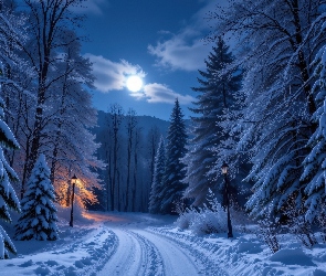 Księżyc, Światło, Droga, Zima, Ośnieżone, Drzewa