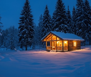 Drewniany, Drzewa, Dom, Oświetlony, Zima