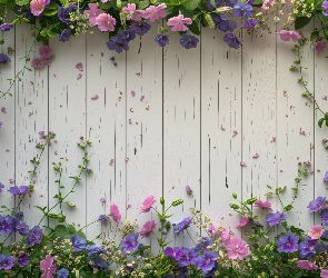 Różowe, Deski, Liście, Kwiaty, Fioletowe