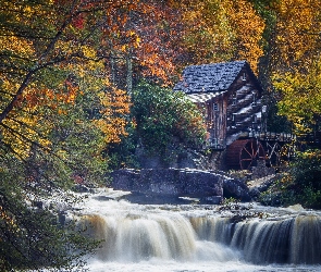 Las, Liście, Kamienie, Jesień, Gałęzie, Młyn wodny, Drzewa, Rzeka, Dom