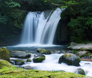 Wodospad, Skały, Gałęzie, Rzeka, Kamienie, Drzewa, Las