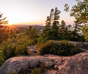 Góry, Drzewa, Lasy, Skały, Promienie słońca