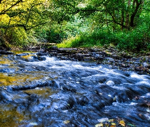 Drzewa, Zielone, Rzeka, Kaskada