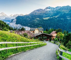 Wengen, Domy, Szwajcaria, Drzewa, Droga, Roślinność, Góry, Ogrodzenie, Wieś, Alpy Berneńskie, Lasy