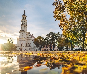 Kałuża, Drzewa, Promienie słońca, Liście, Plac, Kowno, Ratusz, Muzeum ceramiki, Litwa, Jesień