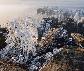 Czechy, Zima, Elbe Sandstone Mountains, Góry Połabskie, Skały, Drzewa