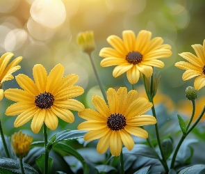 Liście, Kwiaty, Żółte, Rozkwitnięte